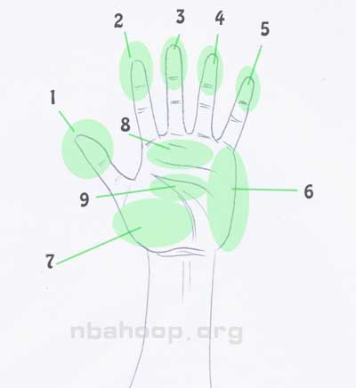 left-hand